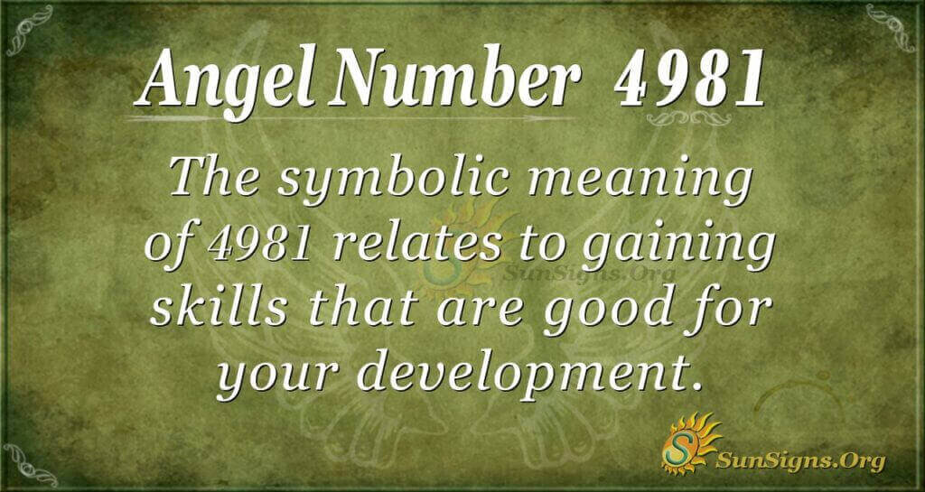 4981 angel number