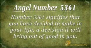 Angel Number 5361