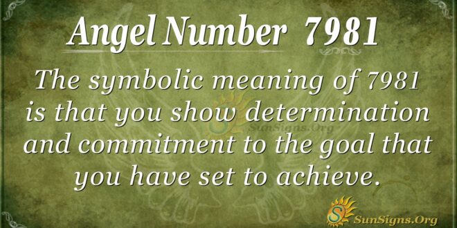7981 angel number