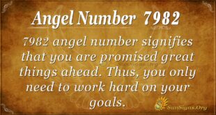 Angel Number 7982