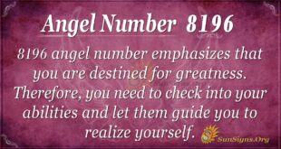 Angel Number 8196