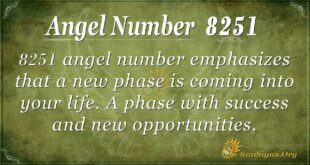 Angel Number 8251
