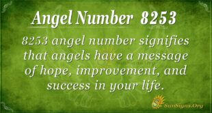 8253 angel number