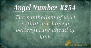 Angel Number 8254