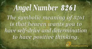 8261 angel number