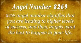 Angel Number 8269