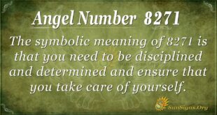 8271 angel number