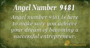 Angel Number 9481