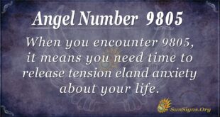 Angel Number 9805