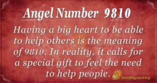 Angel Number 9810
