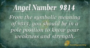 Angel Number 9814