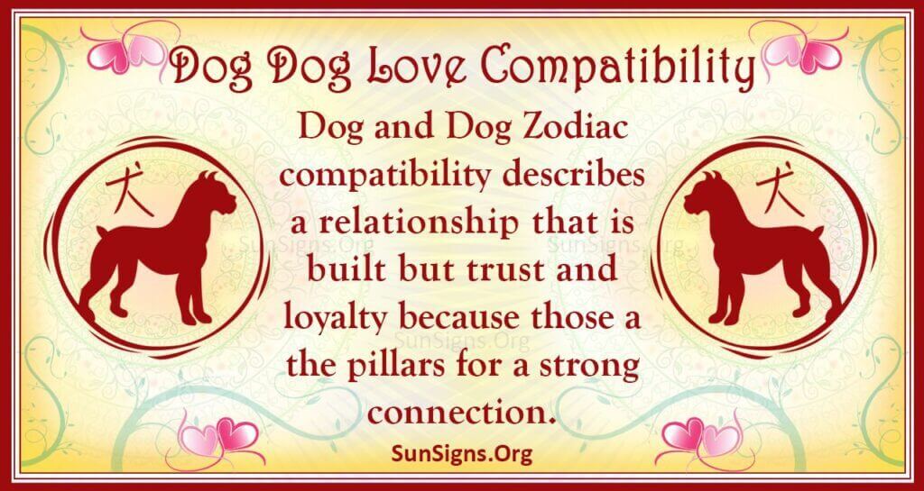 dog dog compatibility