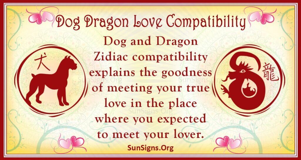 dog dragon compatibility