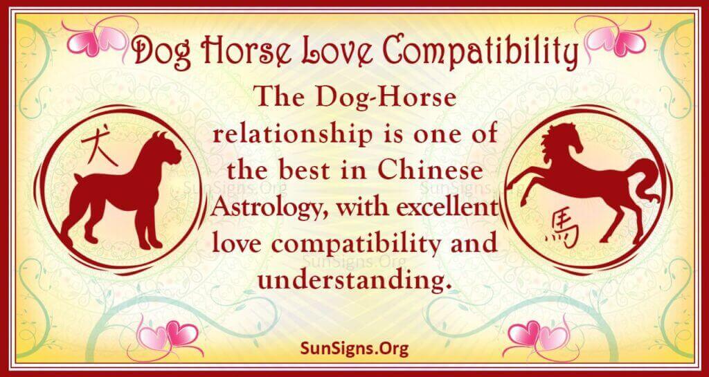 dog horse compatibility
