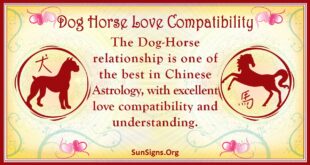 dog horse compatibility