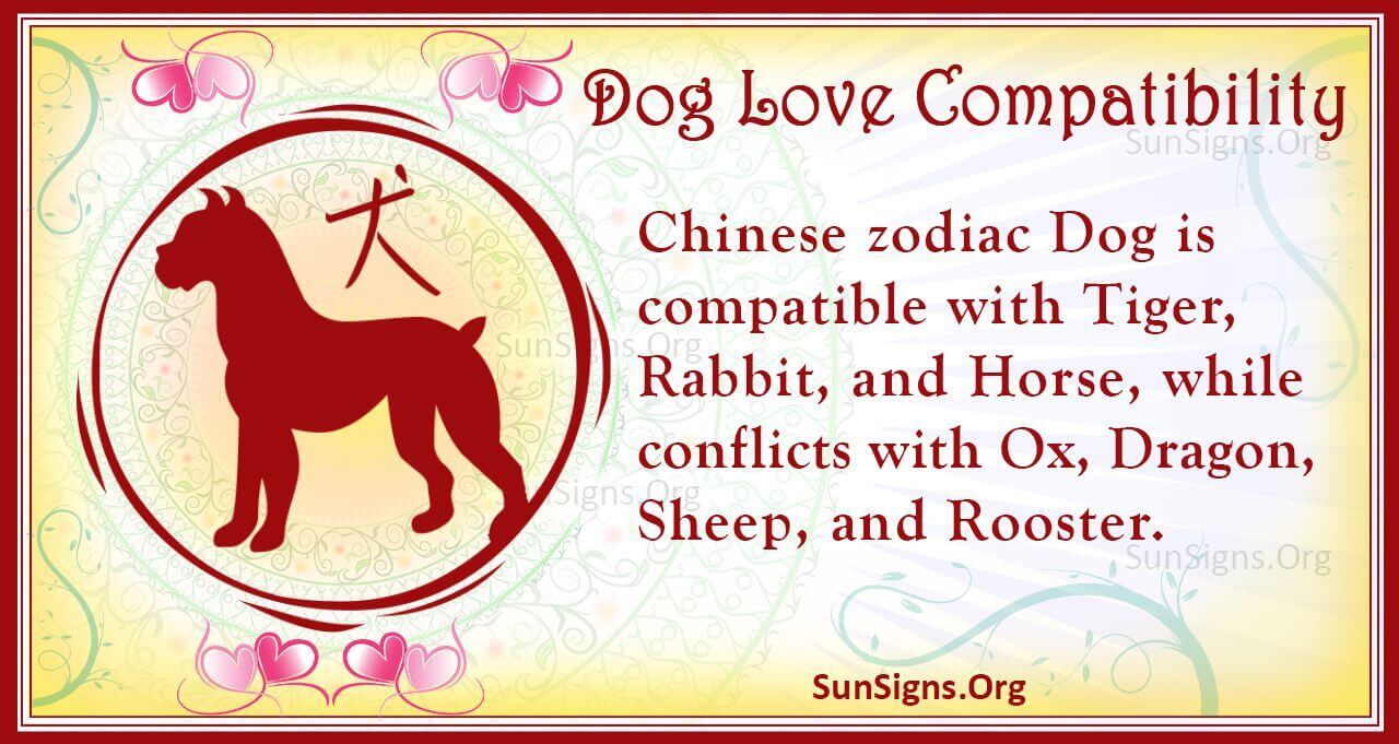 Chinese Dog Horoscope Compatibility Who Should A Dog Marry