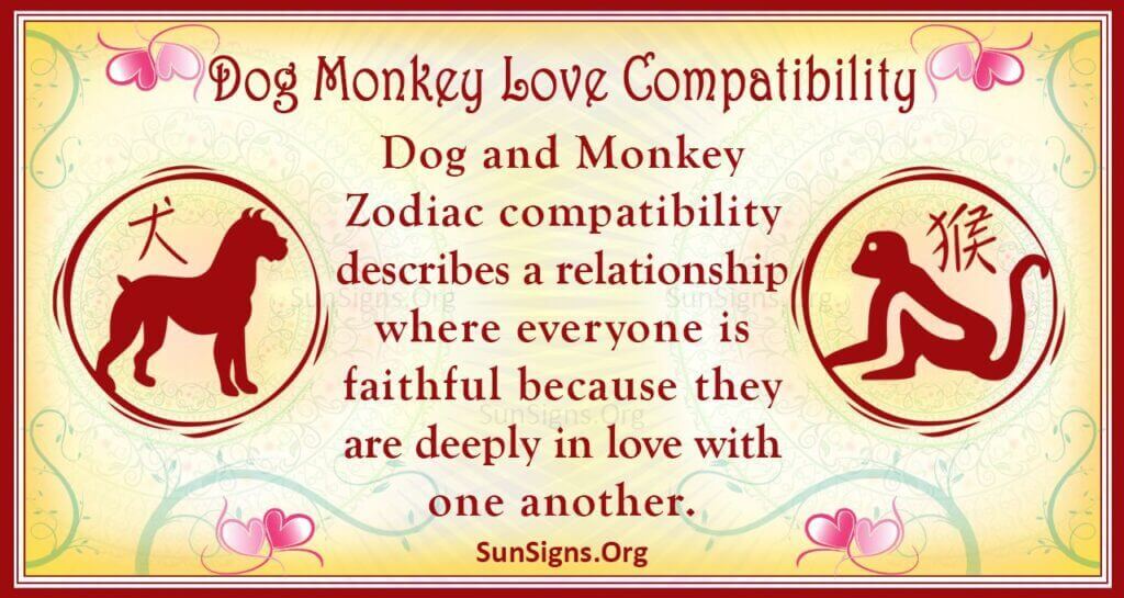 dog monkey compatibility