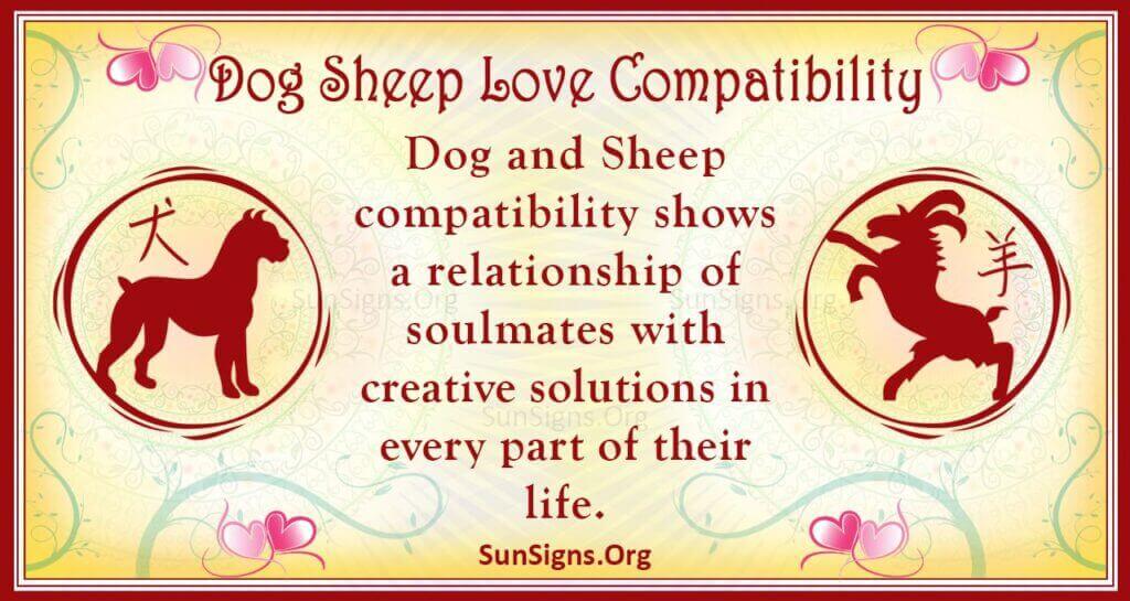 dog sheep compatibility