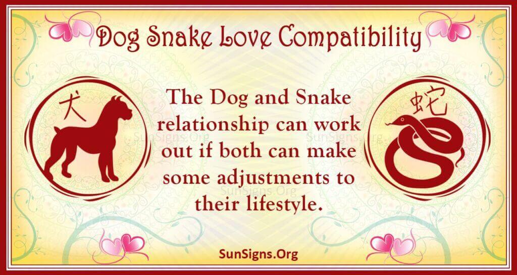 dog snake compatibility