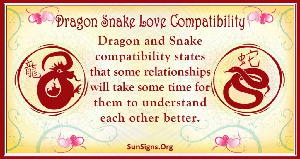 dragon snake compatibility