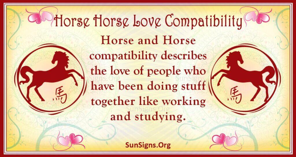 horse horse compatibility