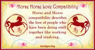 horse horse compatibility