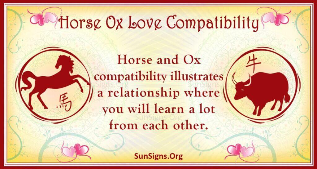 horse ox compatibility