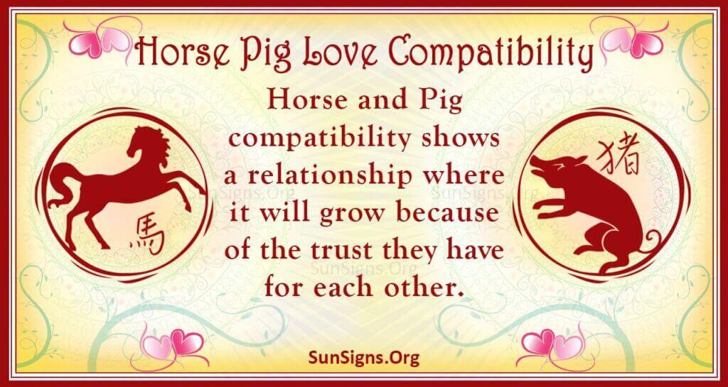 horse pig compatibility