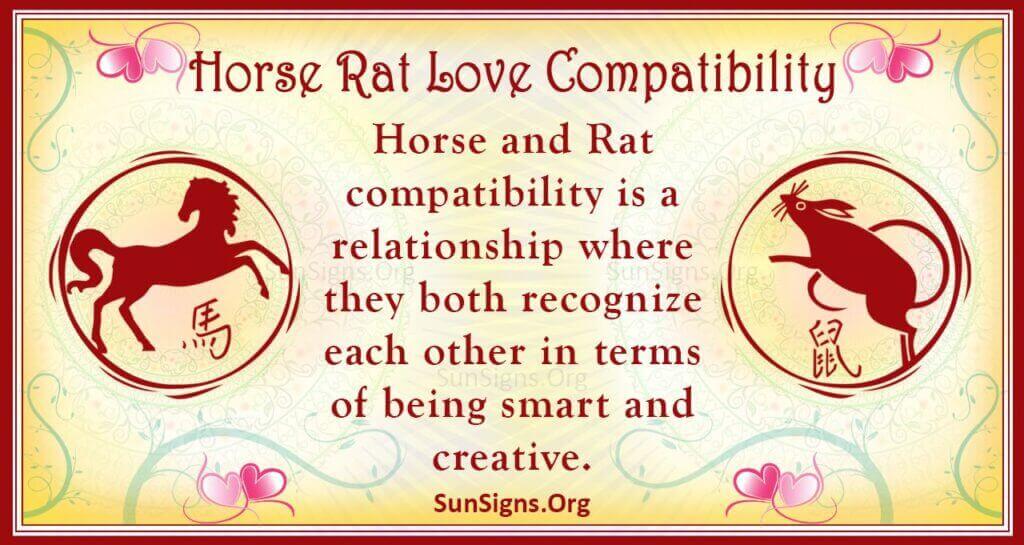 horse rat compatibility