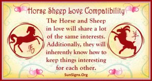 horse sheep compatibility