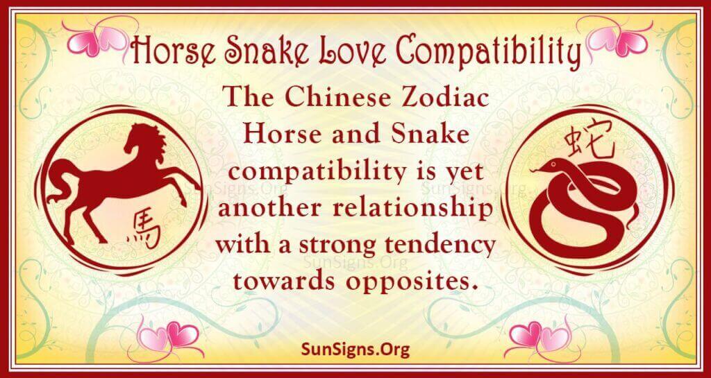 horse snake compatibility