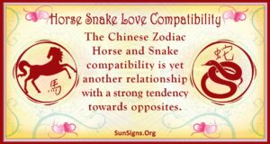 Horse And Snake Compatibility: Contented Relationship - SunSigns.Org