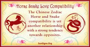 horse snake compatibility