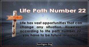 life path number 22