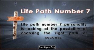 life path number 7