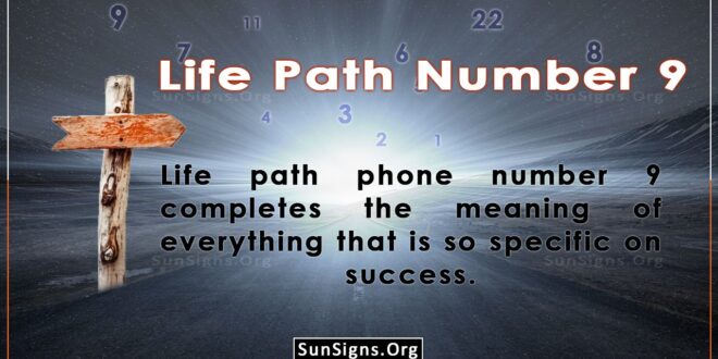 life path number 9
