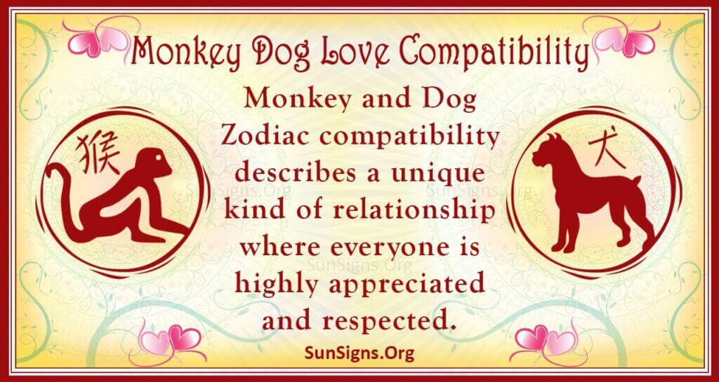 monkey dog compatibility