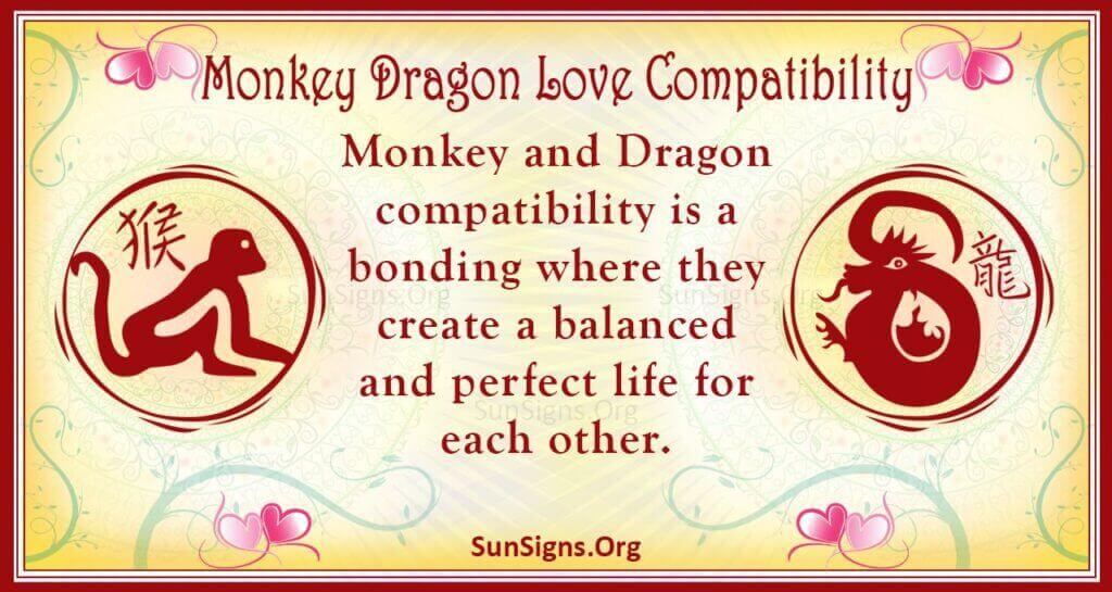monkey dragon compatibility