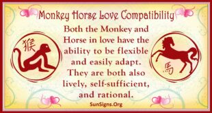 monkey horse compatibility