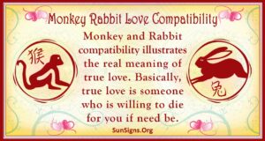 Monkey And Rabbit Compatibility: Creative Bonding - SunSigns.Org