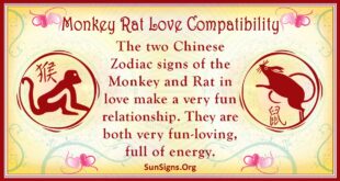 monkey rat compatibility