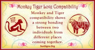 monkey tiger compatibility