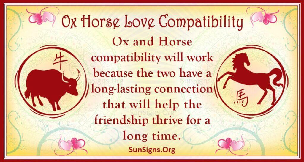 ox horse compatibility