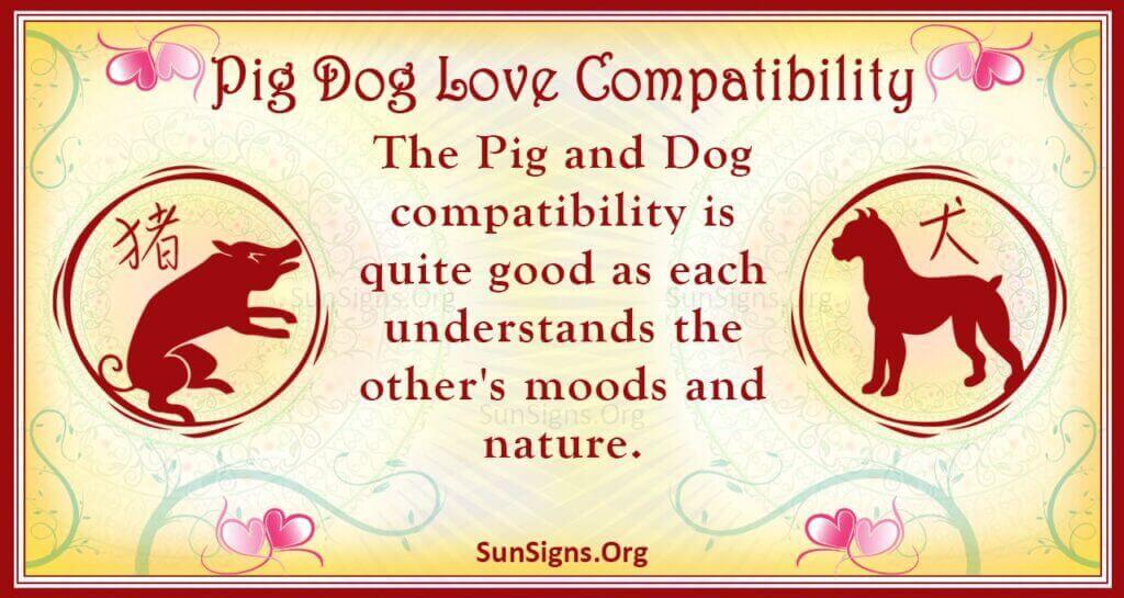 pig dog compatibility