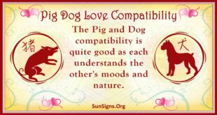 pig dog compatibility
