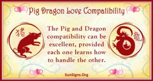 pig dragon compatibility