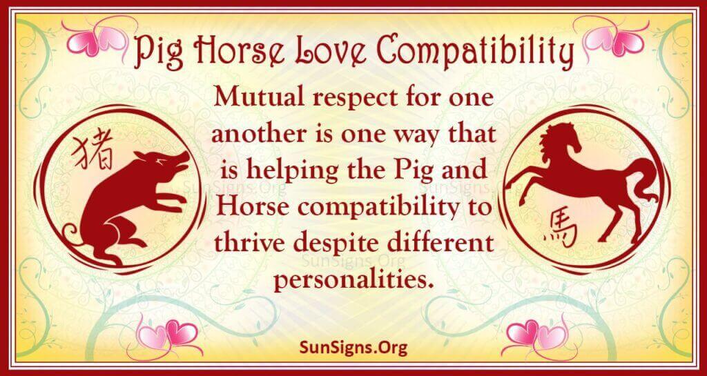 pig horse compatibility