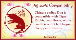 pig love compatibility