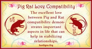 pig rat compatibility