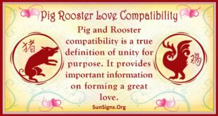 pig rooster compatibility